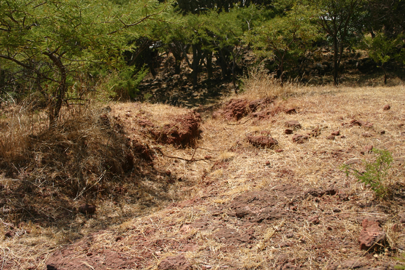 recent drainage ditch detail